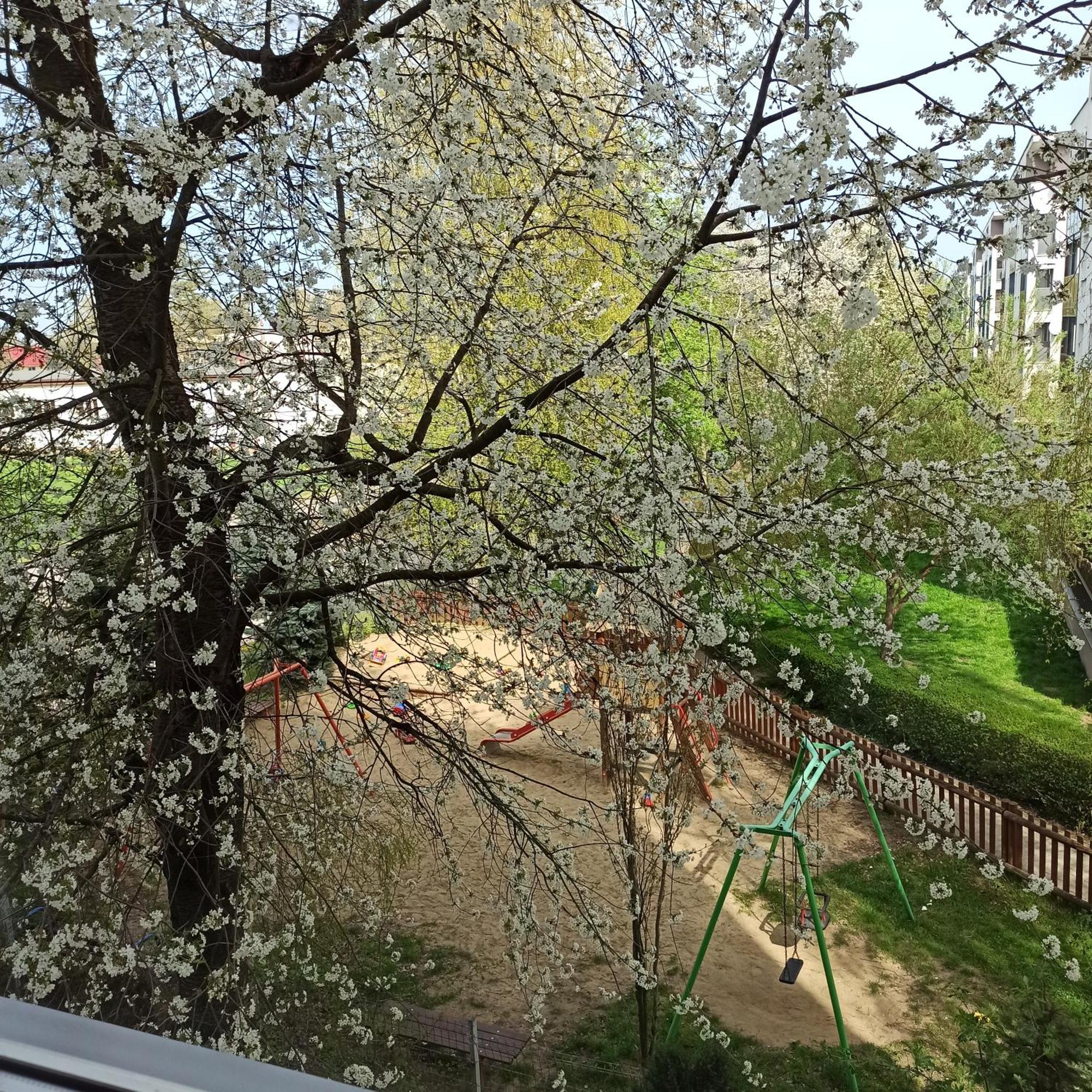 Apartament Dunikowskiego 57M2 Lublin Extérieur photo